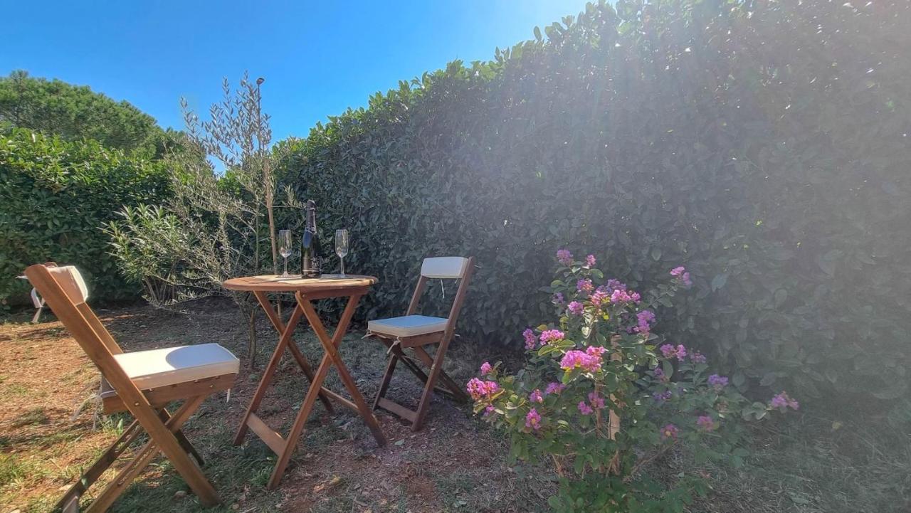 Appartamento Lea Novigrad Istria Esterno foto